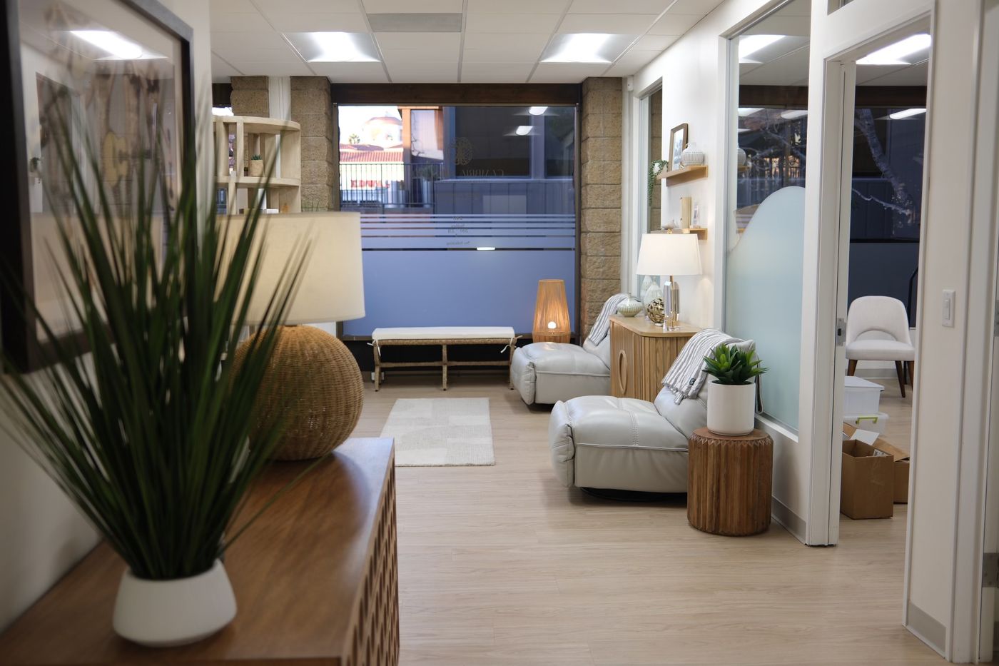 The clinic's front lounge with layered seating, warm wood and soft light.